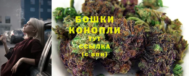 Бошки марихуана Bruce Banner  где найти   Урус-Мартан 